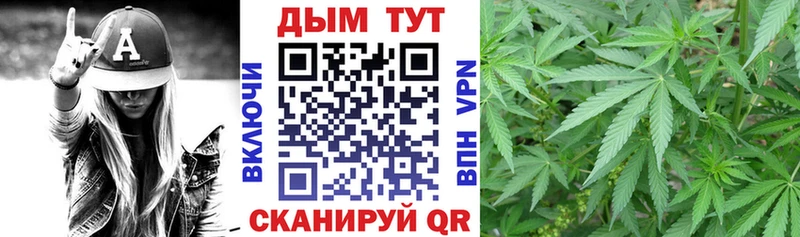 блэк спрут маркетплейс  Талица  Канабис ГИДРОПОН 